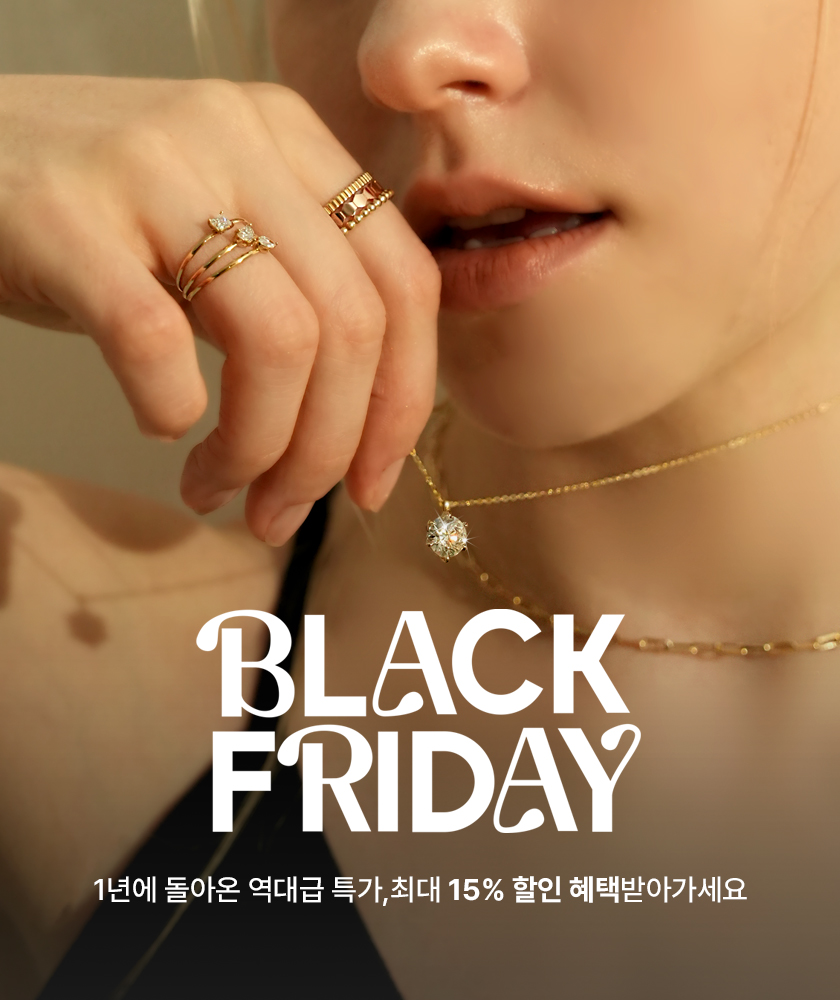 블랙프라이데이